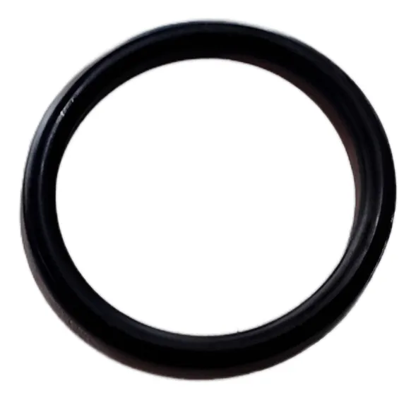 REPUESTO O-RING NIT. 2-328 PARA BOMBA PL LACUS ELEKTRIM