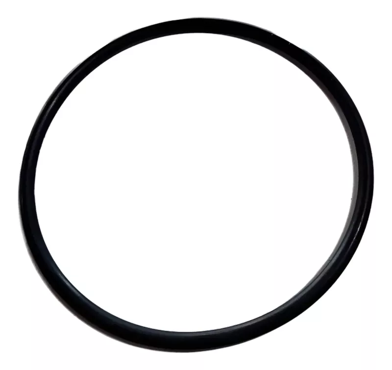REPUESTO O-RING NIT. 2-350 PARA BOMBA PL LACUS ELEKTRIM