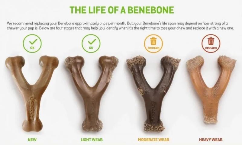 Hueso Masticable Benebone Wishbone Medium Bacon Juguete Perro