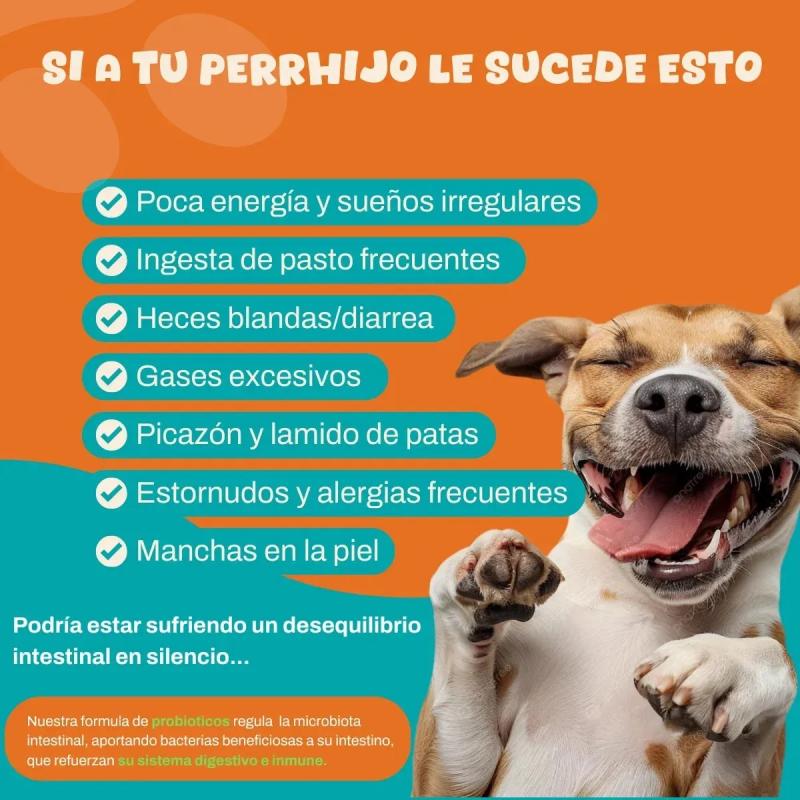 Probioticos Suplemento Perros Aditivo Natural Digestivo 240g