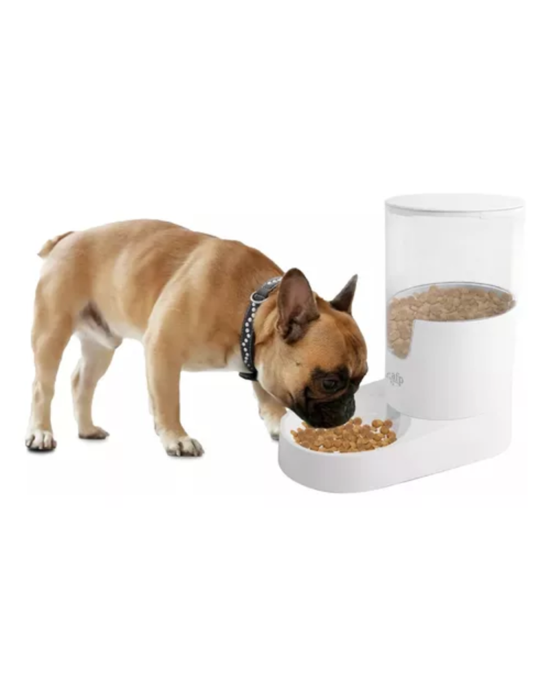Comedero Bebedero Automático Perros Gatos 3 Lts Mascotas