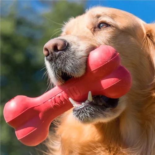 Juguete Hueso Rellenable Goodie Small Kong Perros Mascotas