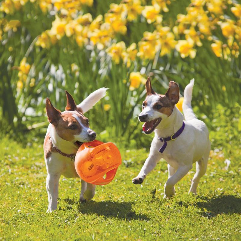 Juguete Pelota Jumbler Ball Medium/large Kong Perro Mascotas
