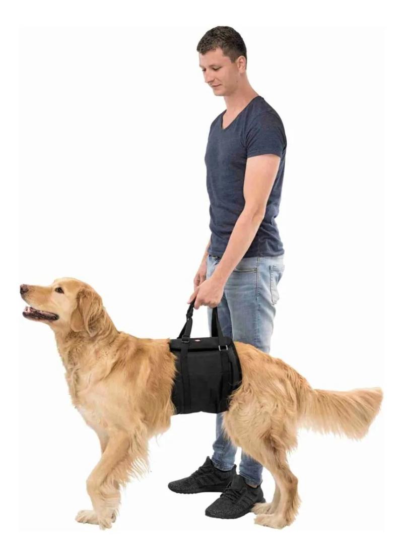 Andador Soporte Para Rehabilitación Displasia Elevador De Cadera Abdomen Trixie