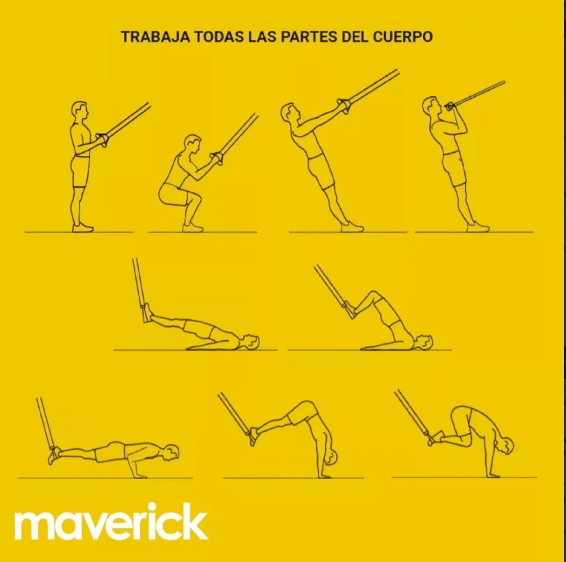 Banda De Suspensión Pro Trainer Entrenamiento Gym Maverick OWL