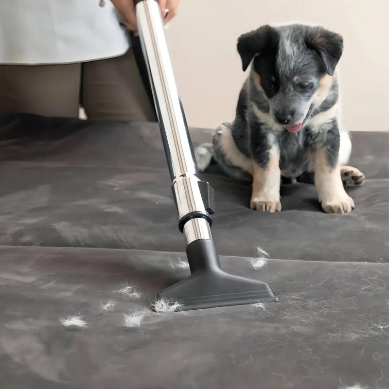 Aspiradora Sin Bolsa Vcl3 Cyclonic 1000w Karcher Premium Blanco