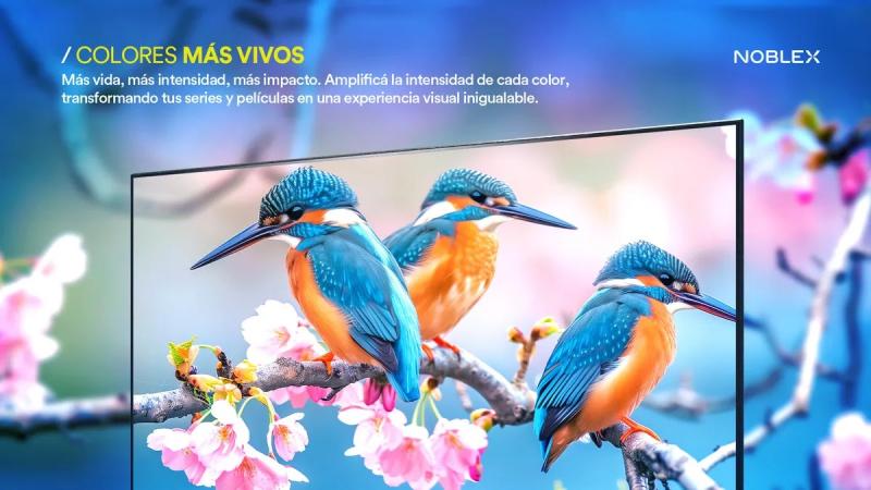 Smart Tv Led 50 Pulgadas Dv50x8580 4k Google Tv - Noblex