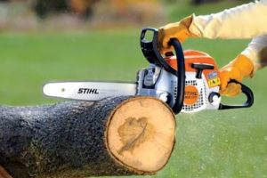 Stihl Motosierra de Poda MS 193 T - 1.8 CV | Uso Profesional en Altura