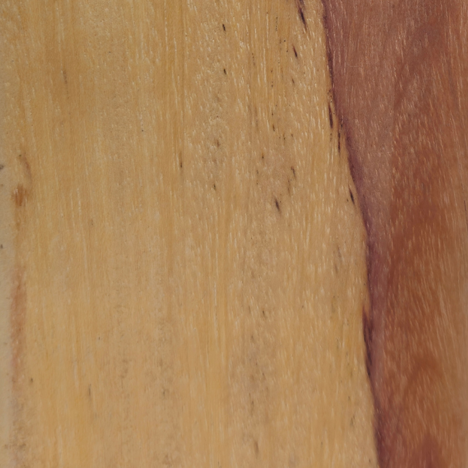 Madera Quebracho Blanco 4" | Maderera Llavallol