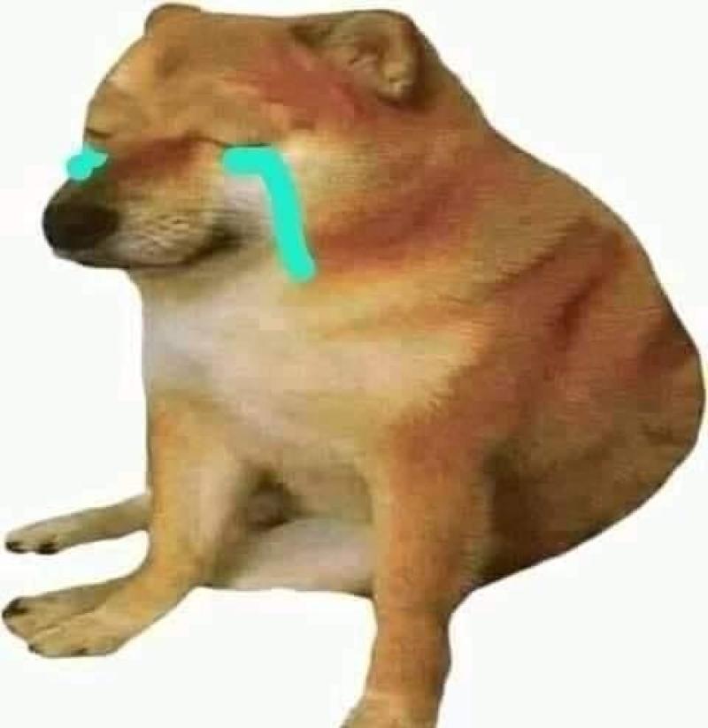 Sad Doge 2, más sad que nunca