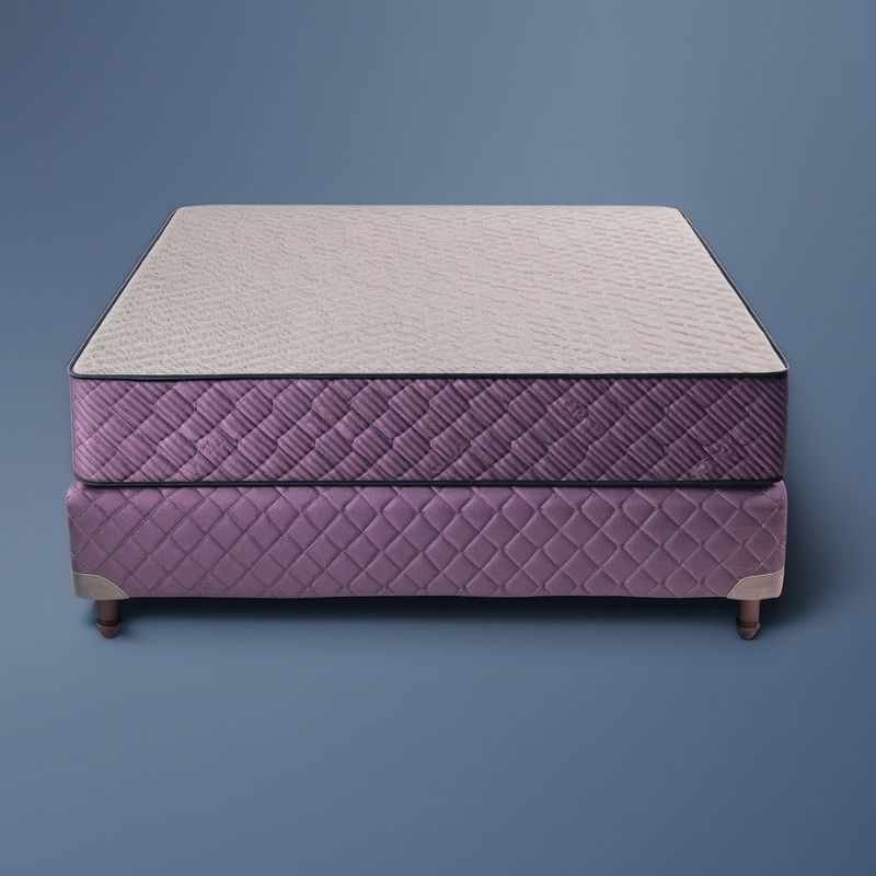 Conjunto Purple Modelo Pedic