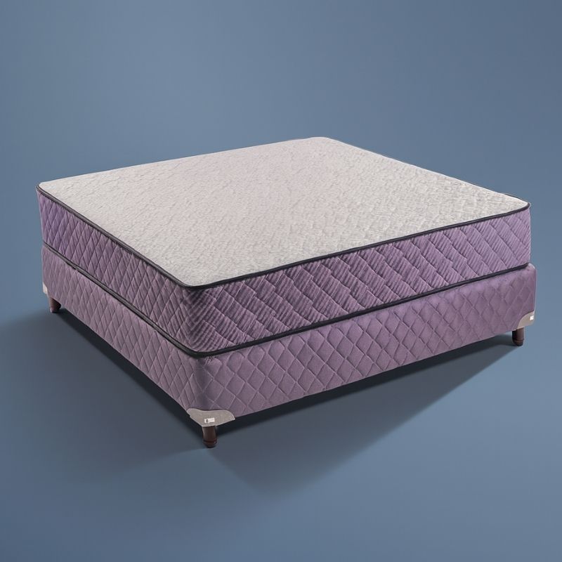 Conjunto Purple Modelo Pedic