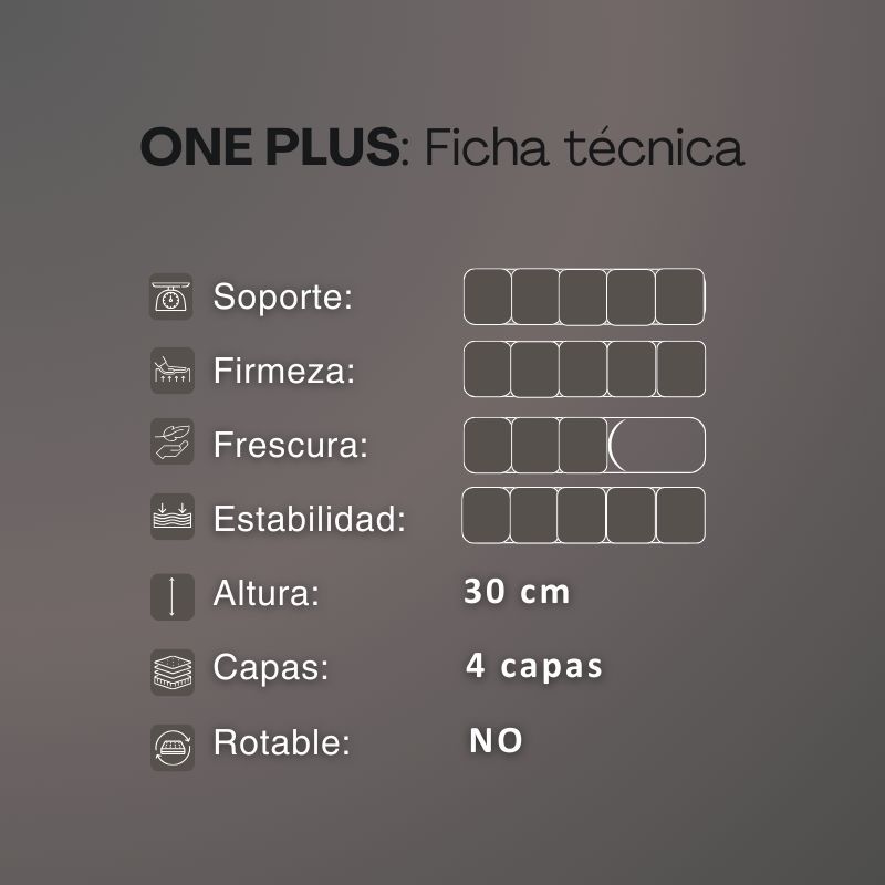 Colchon Springwall One Plus 160x200