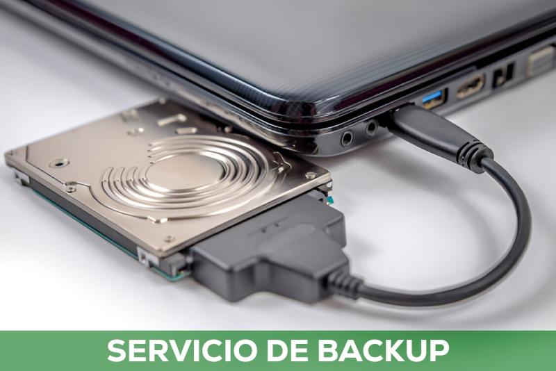 Servicio de Backup de Datos