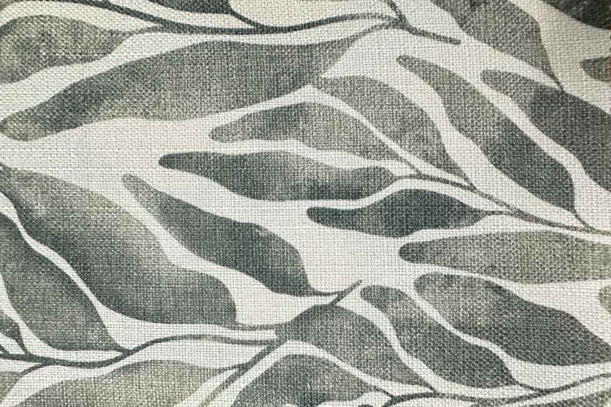 Tijuana Hojas Cemento