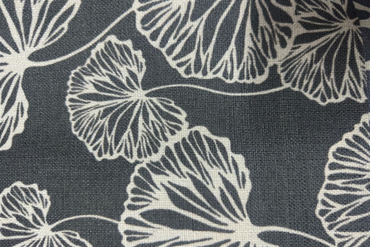 Tijuana Capullo Grafito