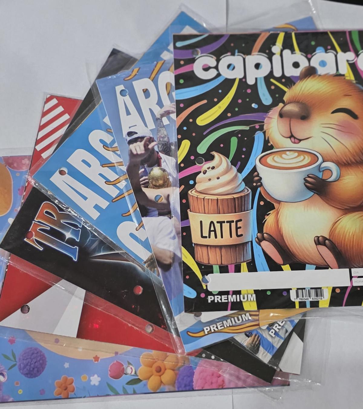 SEPARADORES X6 PREMIUN