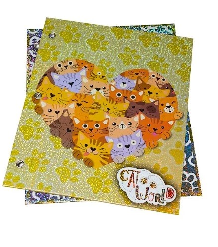 CARPETA N°3 2 TAPAS REXON